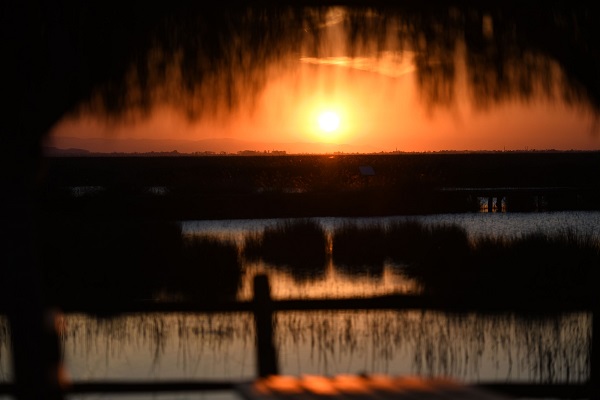 Foto - Bu güzelliği görmek için akın akın gittiler