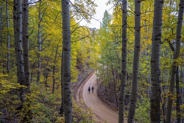Foto - Bu güzellik dünyanın öbür ucunda değil!