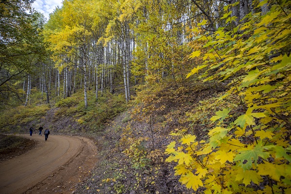 Foto - Bu güzellik dünyanın öbür ucunda değil!
