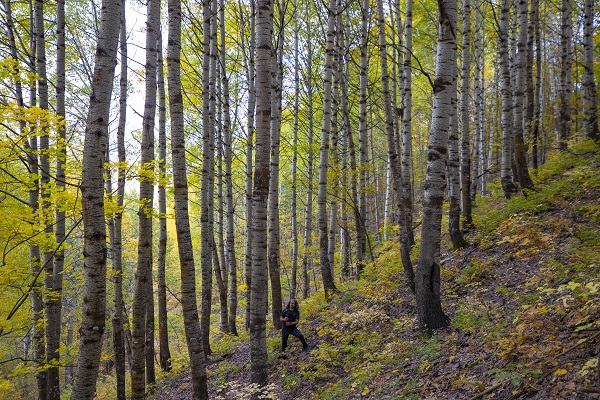 Foto - Bu güzellik dünyanın öbür ucunda değil!