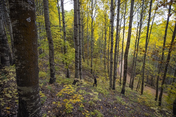 Foto - Bu güzellik dünyanın öbür ucunda değil!