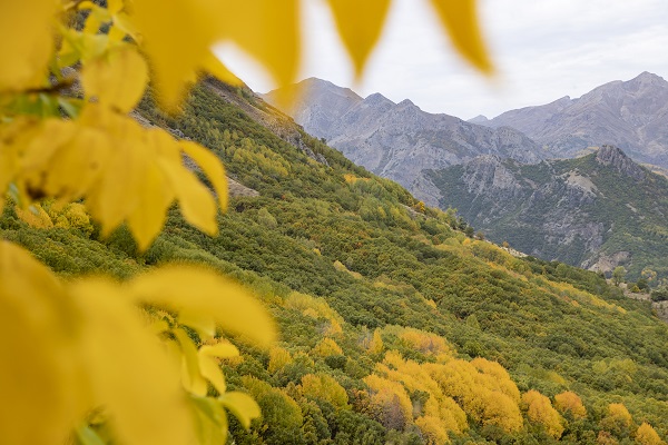 Foto - Bu güzellik dünyanın öbür ucunda değil!