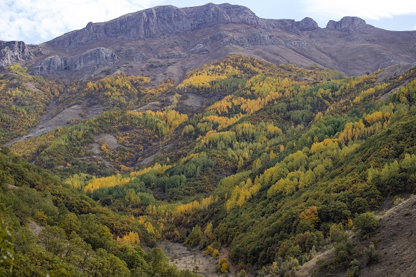 Foto - Bu güzellik dünyanın öbür ucunda değil!