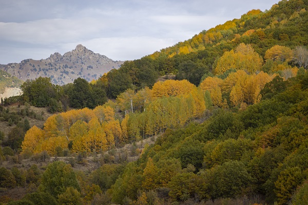 Foto - Bu güzellik dünyanın öbür ucunda değil!