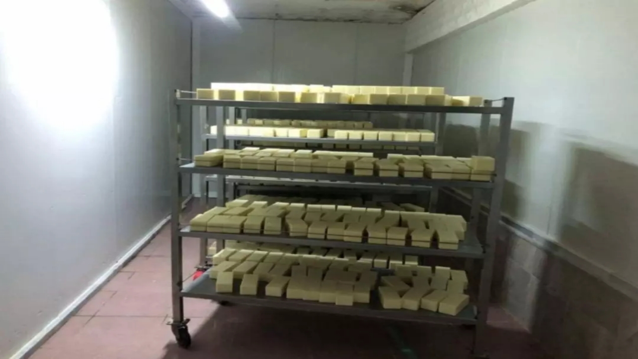 Foto - Bu haberi okuduktan sonra kaşar peyniri yemeye tövbe edeceksiniz! Sakarya’daki operasyonda ortaya çıktı! Mide bulandıran detay