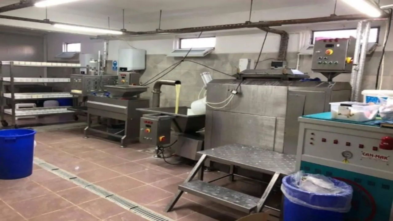 Foto - Bu haberi okuduktan sonra kaşar peyniri yemeye tövbe edeceksiniz! Sakarya’daki operasyonda ortaya çıktı! Mide bulandıran detay