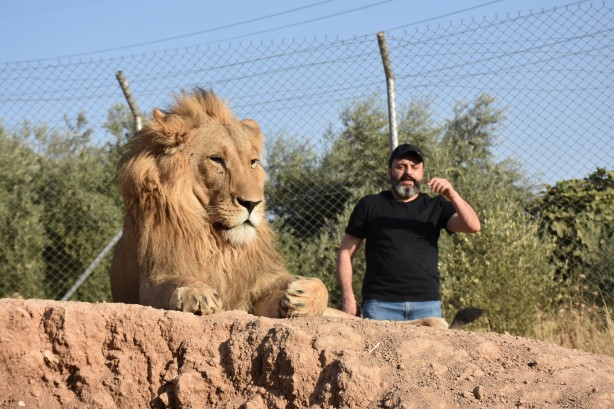 Foto - Bu haberimiz aslan severlere gelsin! 500 dönümlük alan tahsisi...