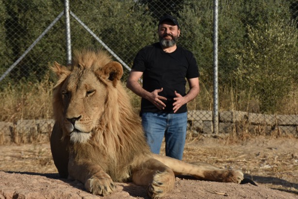 Foto - Bu haberimiz aslan severlere gelsin! 500 dönümlük alan tahsisi...