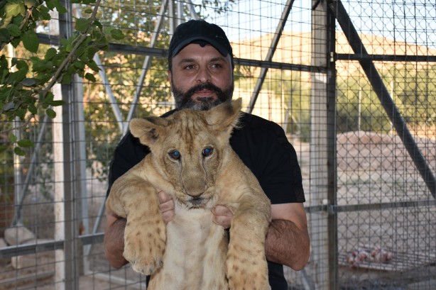 Foto - Bu haberimiz aslan severlere gelsin! 500 dönümlük alan tahsisi...