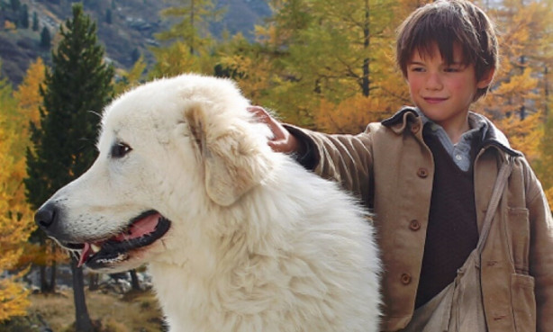 Foto - Bu hafta sinema keyfine doyacaksınız