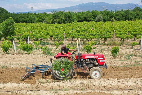 Foto - Bu halini görenler şaşırıyor! Kuruluş Osman oyuncusu hafta içi sette hafta sonu tarlada