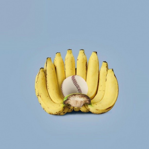 Foto - Bu halleri şaşırtıyor