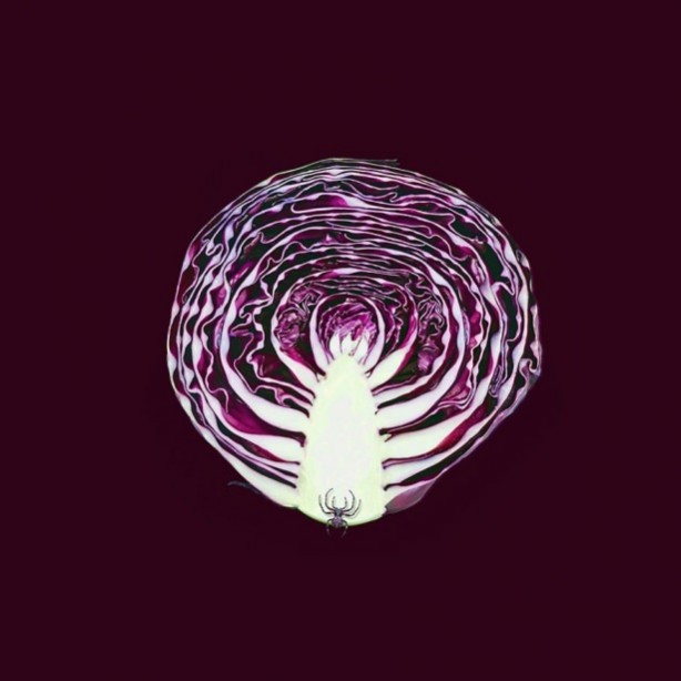 Foto - Bu halleri şaşırtıyor