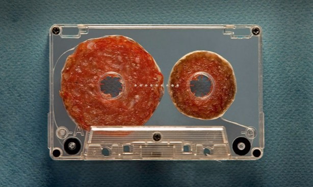 Foto - Bu halleri şaşırtıyor