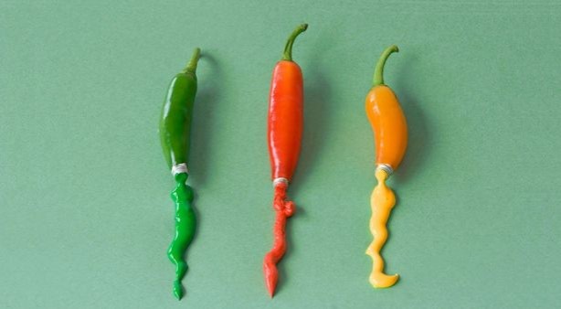 Foto - Bu halleri şaşırtıyor