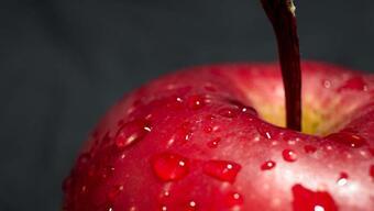 Foto - Bu hareketler uyuyan kanseri uyandırıyor! Uzmanlar dikkat çekti