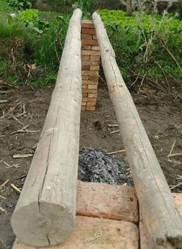 Foto - Bu hastalığın şifası 'dayak'