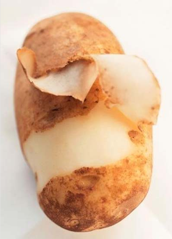 Foto - Bu hastalığın şifası 'dayak'