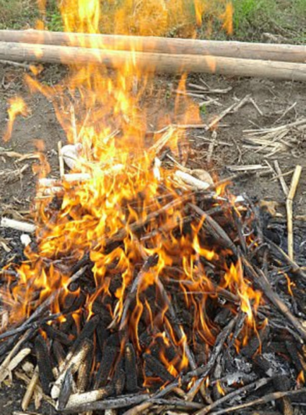 Foto - Bu hastalığın şifası 'dayak'