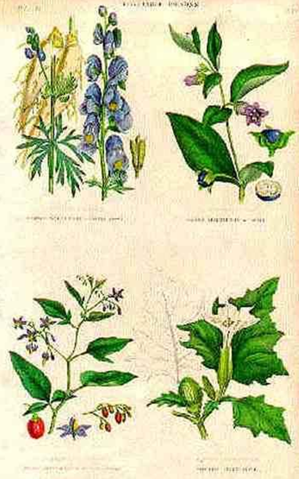 Foto - Bu hastalığın şifası 'dayak'