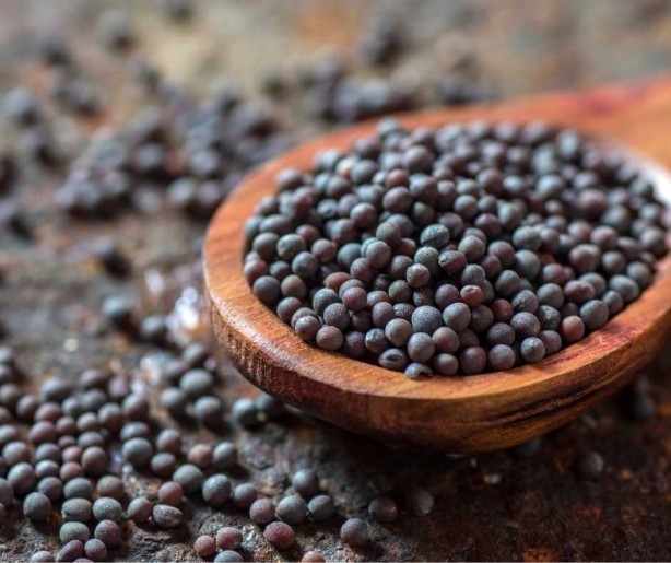 Foto - Bu hastalığın tedavisi yok fakat… Huzursuz bacak sendromu yaşayanlara müjde