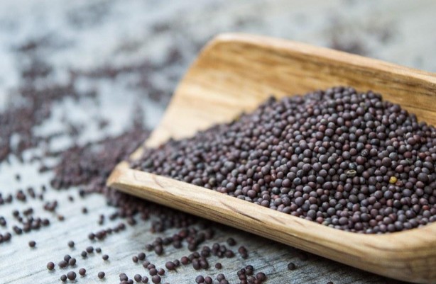 Foto - Bu hastalığın tedavisi yok fakat… Huzursuz bacak sendromu yaşayanlara müjde