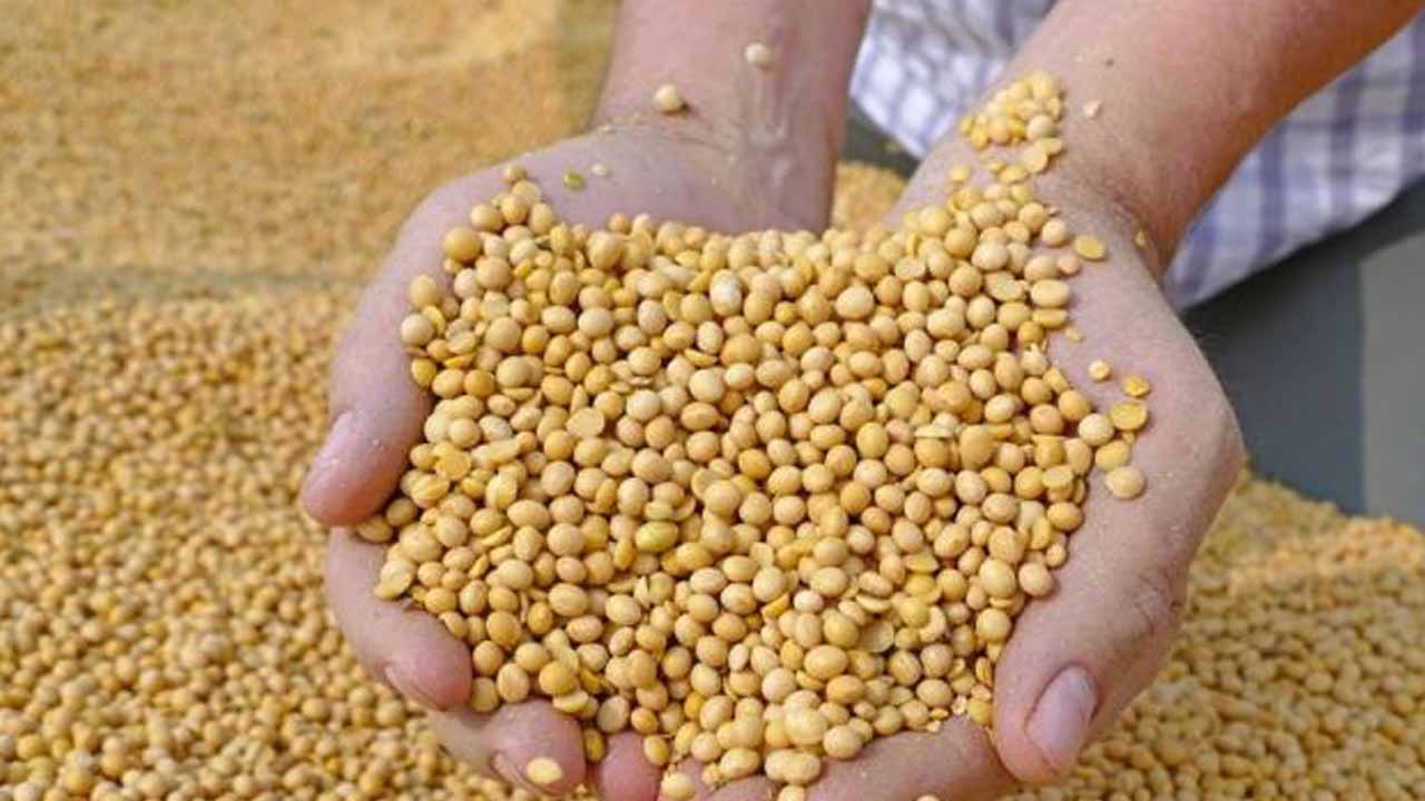 Foto - Bu hastalıkların riskini azaltıyor! İşte kanser karşıtı 5 besin