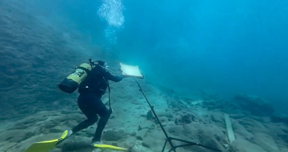 Foto - Bu hata denizlere zarar veriyor