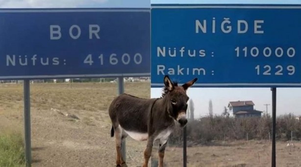 Foto - Bu hataları sakın yapmayın! Yanlış bilinen atasözleri ve deyimler