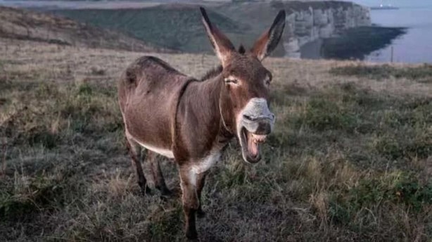Bu hataları sakın yapmayın! Yanlış bilinen atasözleri ve deyimler