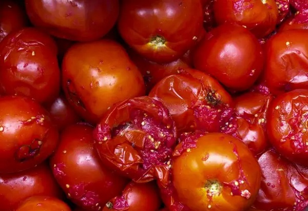 Foto - Bu hatayı sakın yapmayın! Çürük domatesleri sakın atmayın