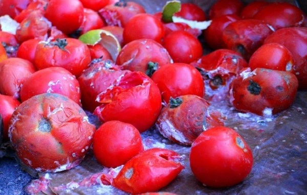 Foto - Bu hatayı sakın yapmayın! Çürük domatesleri sakın atmayın