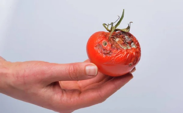 Foto - Bu hatayı sakın yapmayın! Çürük domatesleri sakın atmayın