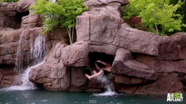 Foto - Bu havuzlara hayran kalacaksınız!