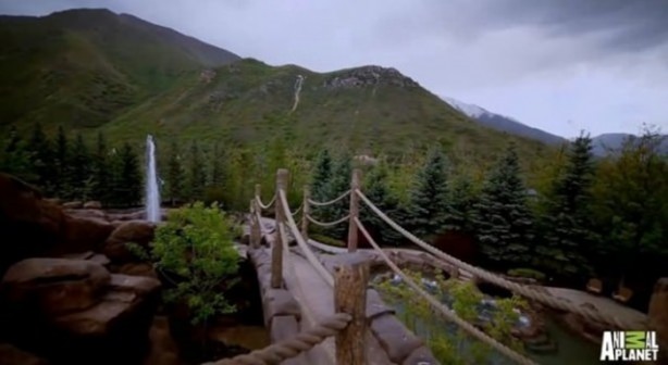 Foto - Bu havuzlara hayran kalacaksınız!