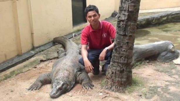 Foto - Bu hayvandan kurtuluş yok!