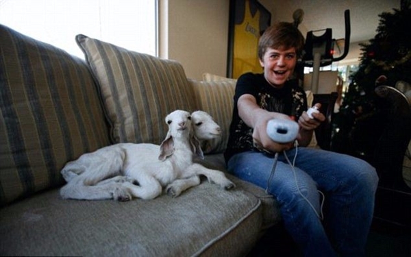 Foto - Bu hayvanların çok ilginç bir özelliği var!