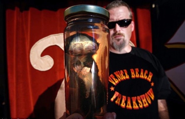 Foto - Bu hayvanların çok ilginç bir özelliği var!