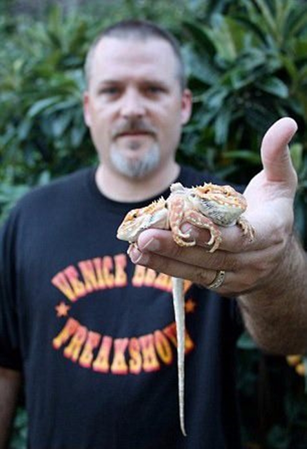 Foto - Bu hayvanların çok ilginç bir özelliği var!