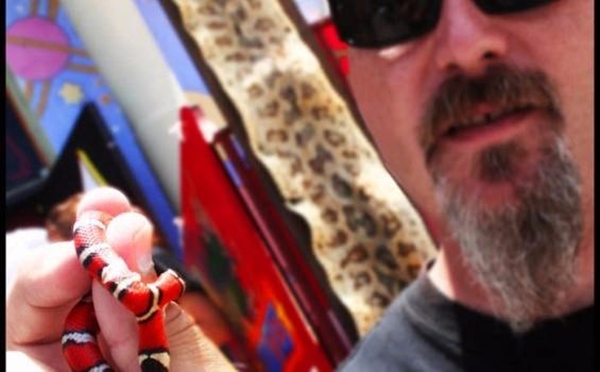 Foto - Bu hayvanların çok ilginç bir özelliği var!