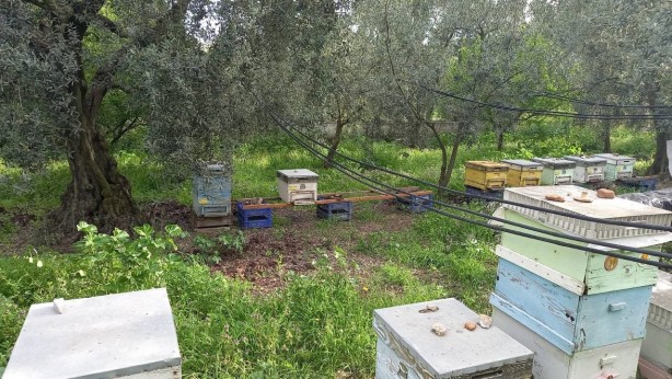 Foto - Bu hırsızlık parmak yalattı