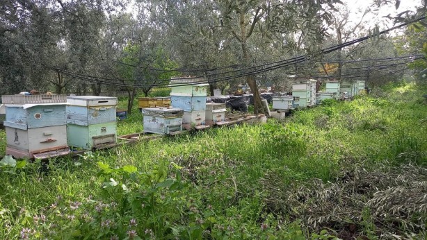 Foto - Bu hırsızlık parmak yalattı