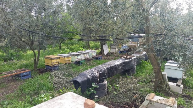 Foto - Bu hırsızlık parmak yalattı