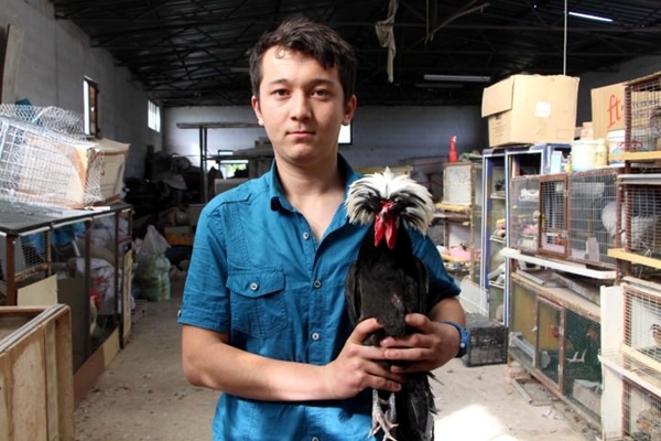 Foto - Bu horoz diğerlerinden oldukça farklı!