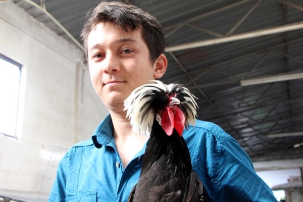 Foto - Bu horoz diğerlerinden oldukça farklı!