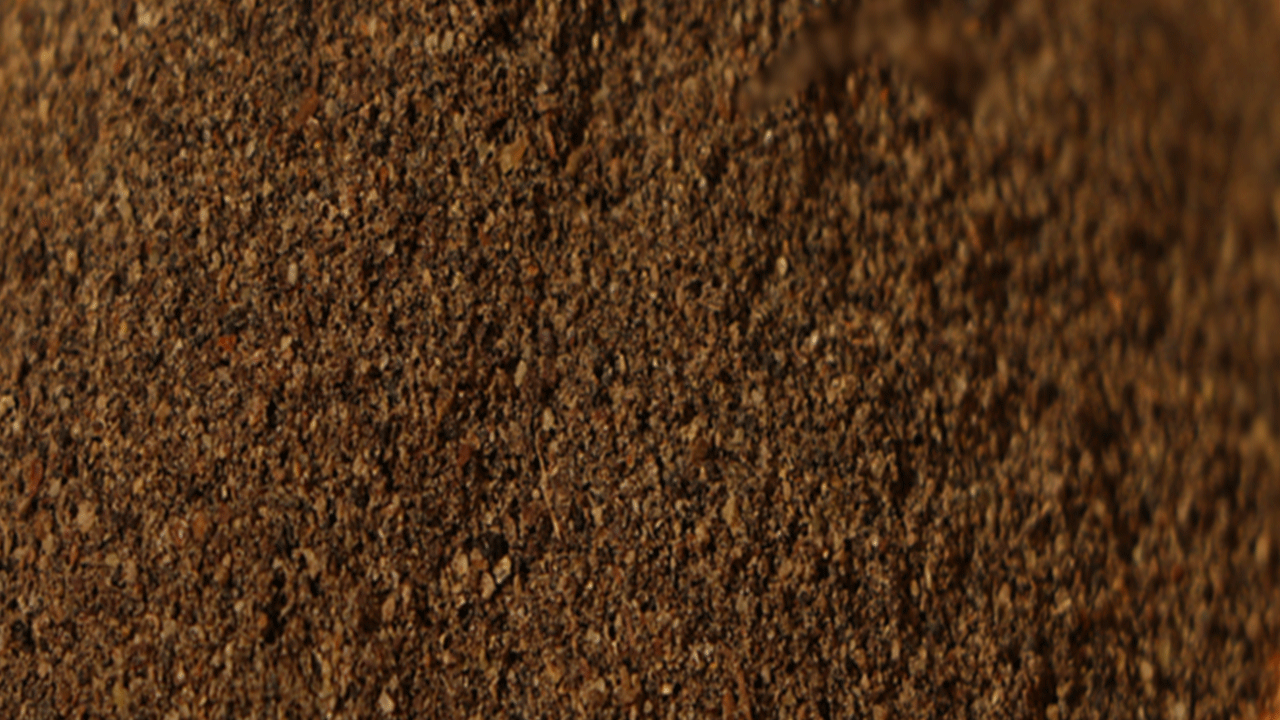 Foto - Bu iki baharat yan yana ölümcül oluyor: Mide kanamasına neden olabilir!