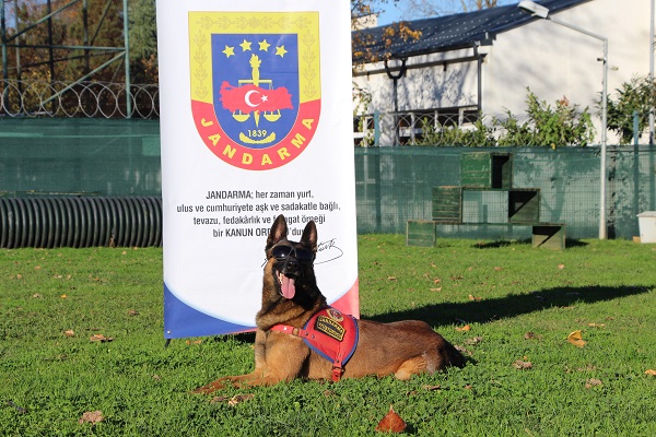 Foto - Bu ikili suçluların kabusu oldu