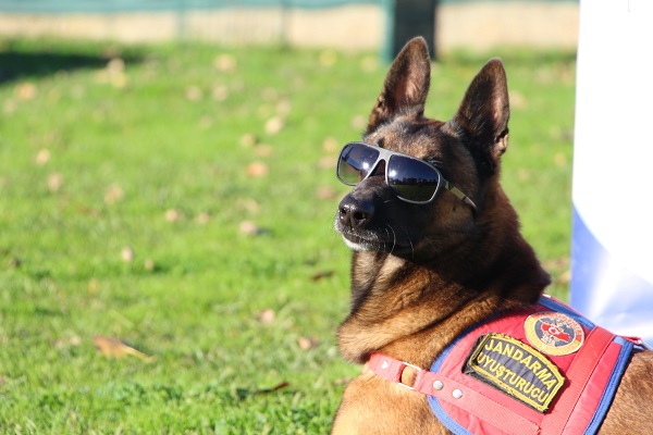 Foto - Bu ikili suçluların kabusu oldu