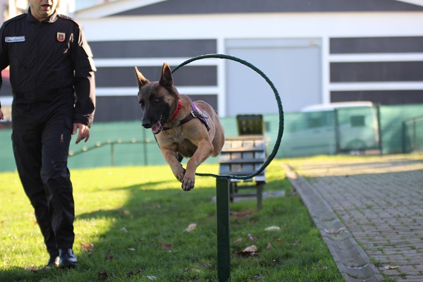 Foto - Bu ikili suçluların kabusu oldu