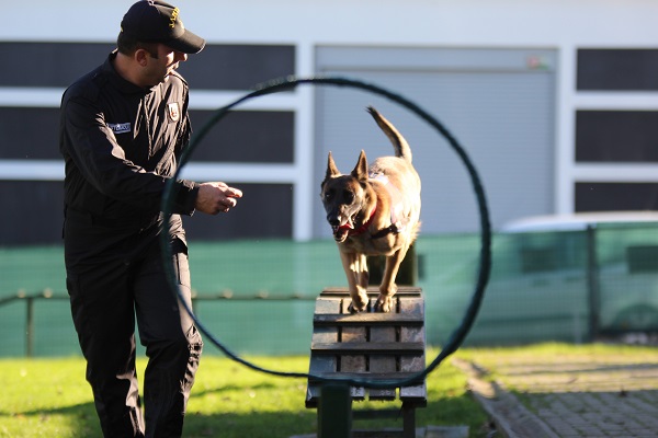 Foto - Bu ikili suçluların kabusu oldu